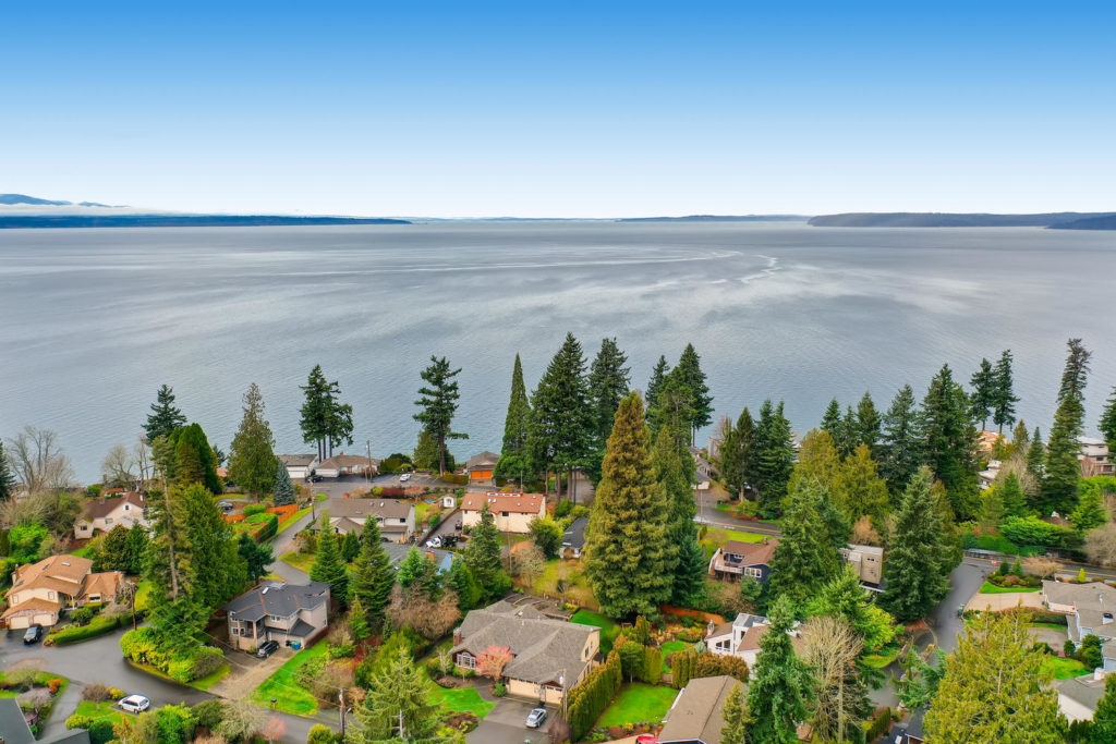Landscape of ocean and trees in seattle