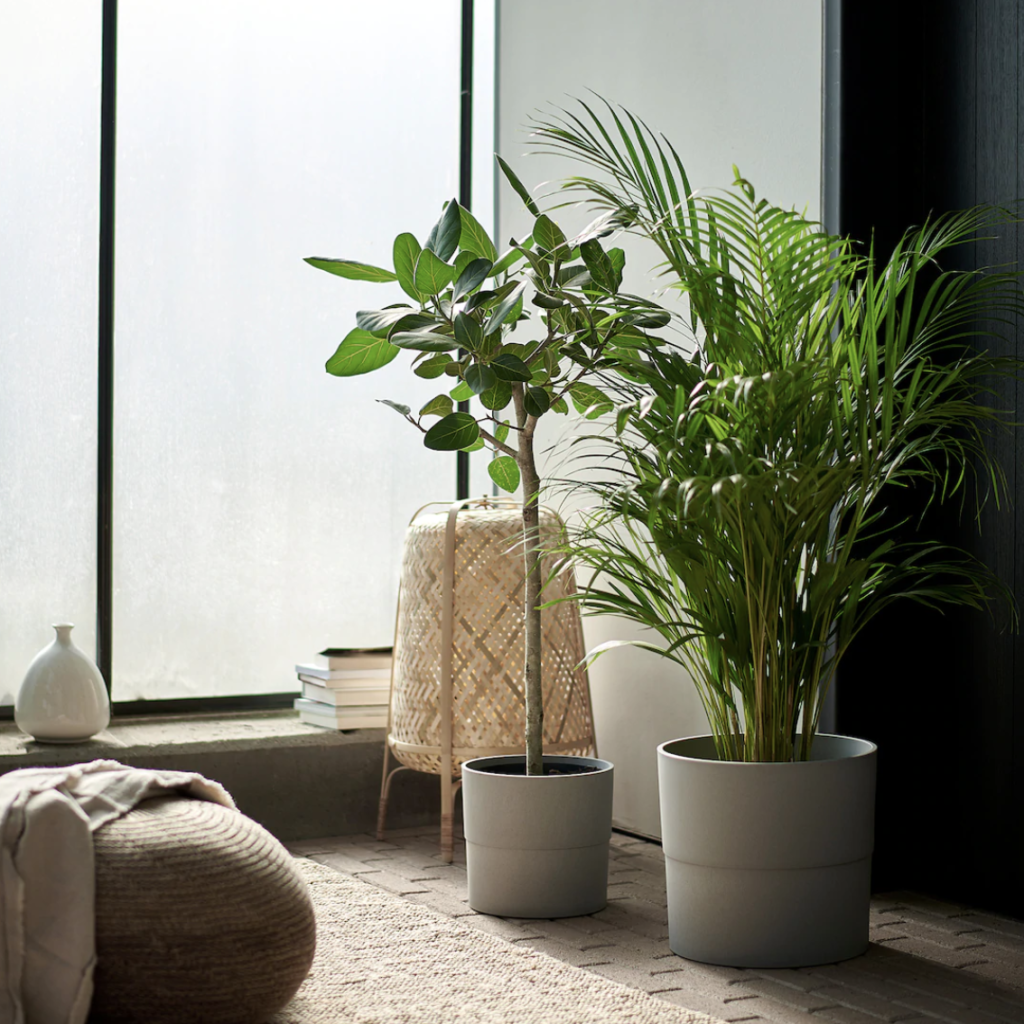 Planter pots staging items