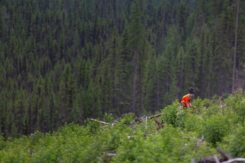 Woman with red shirt in wooded area