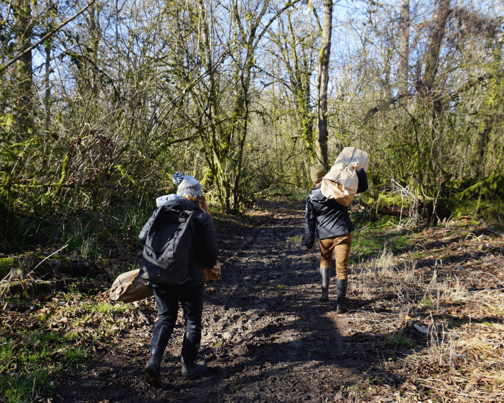 One Tree Planted restoration in Oregon